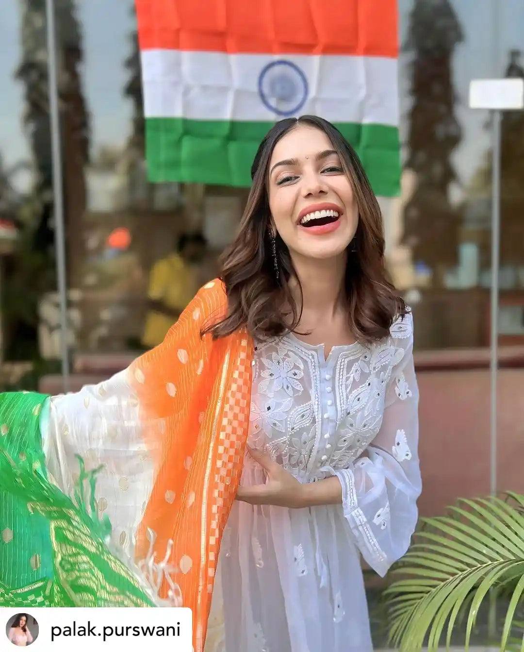 Palak White Noor Mirror Chikankari